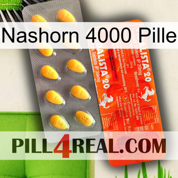 Rhino 4000 Pill new01.jpg